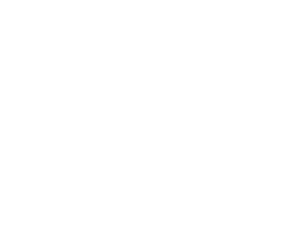 The Jesus Festival